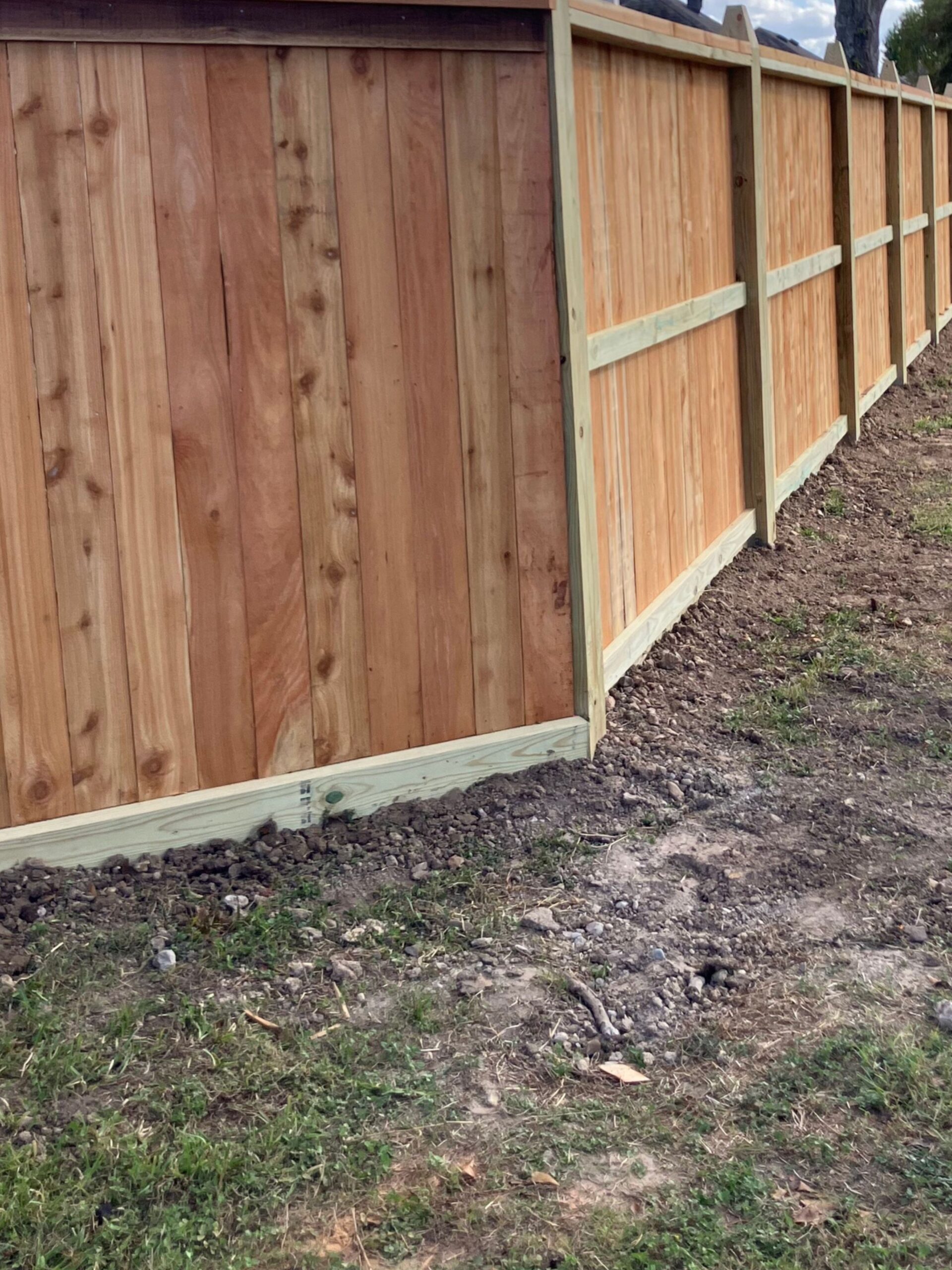 magnolia business fence